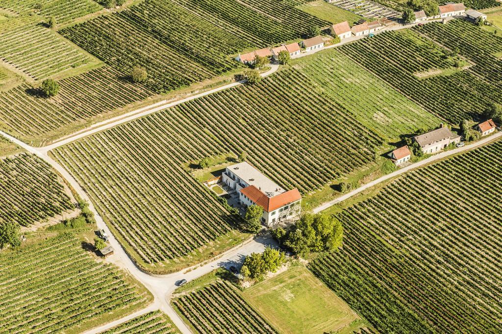 Wein-Gut Hutter Krems an der Donau Exterior foto