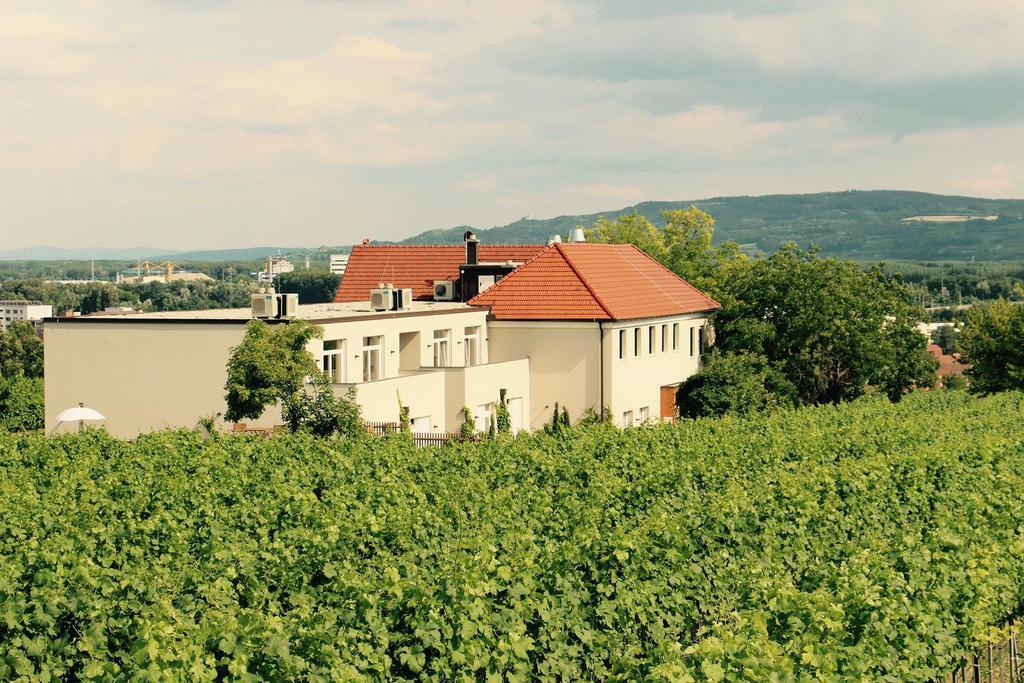 Wein-Gut Hutter Krems an der Donau Exterior foto